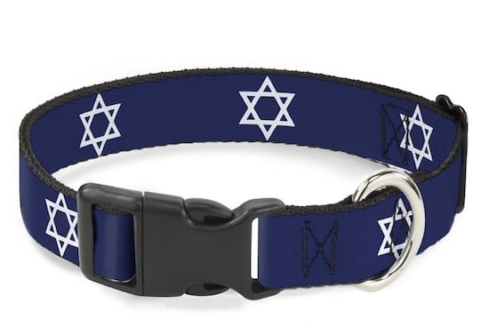 Star of David Cat Collar  Hanukkah Cat Collar - Oh My Paw'd