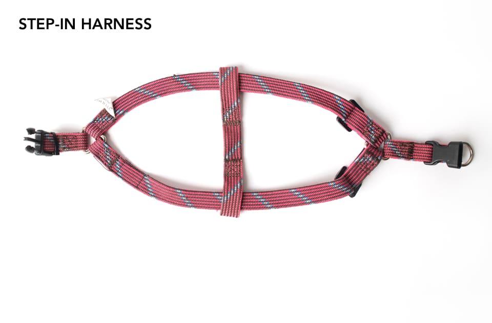 A step in harness with notes