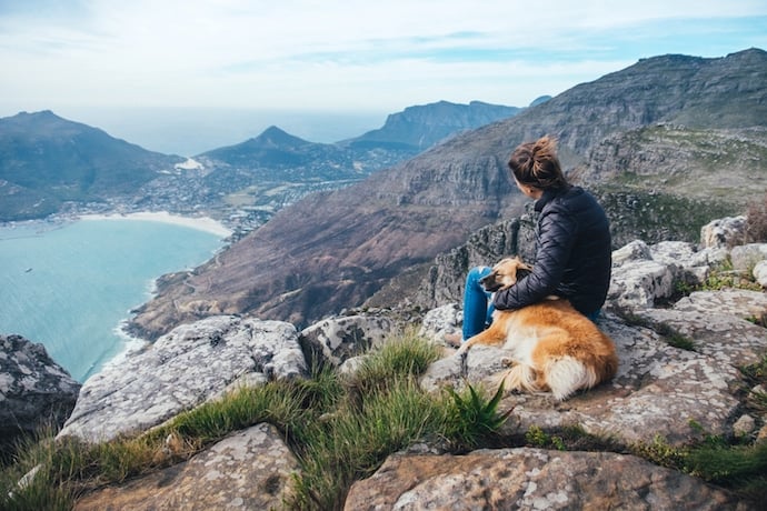 chien qui passe du temps avec son maître à la montagne