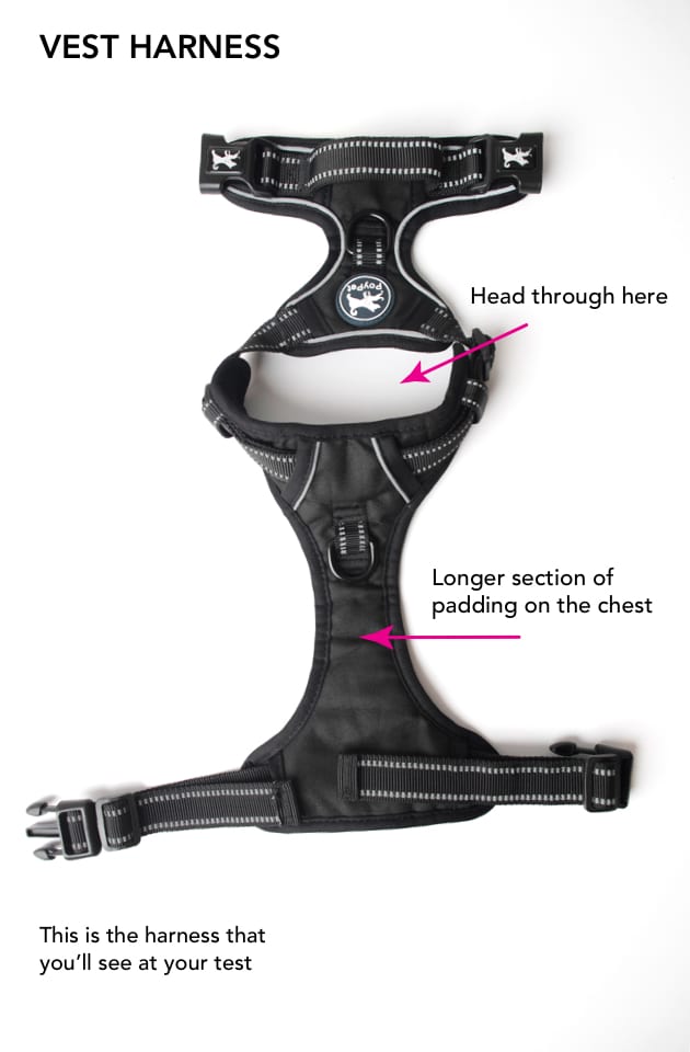 A vest harness with notes. This one is on the test.