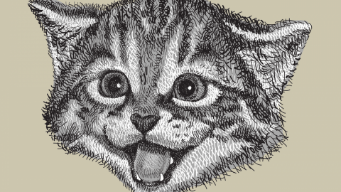 illustration of cat head