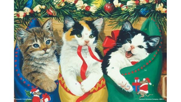 cats in stockings Advent calendar