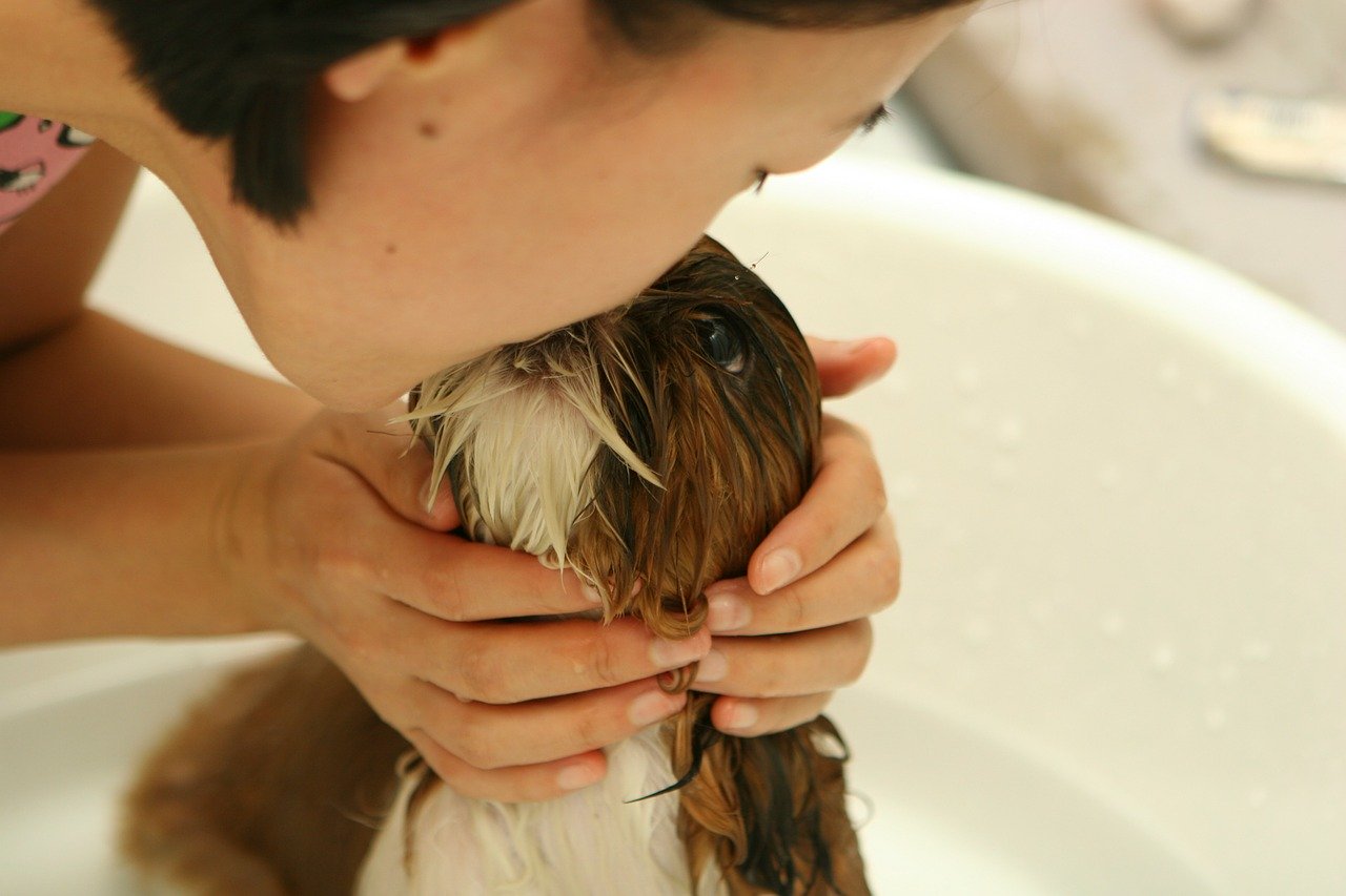 How much do you tip a dog groomer online store save 47 jlcatj gob mx