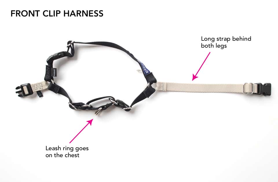 A front clip harness with notes