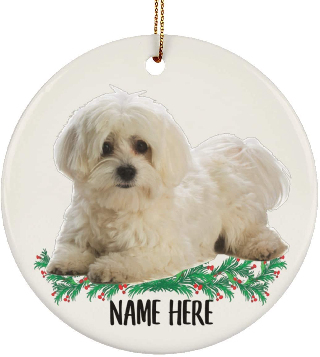 Maltese Dog Keepsake/Jewellery Box Christmas Gift AD-M1JB 