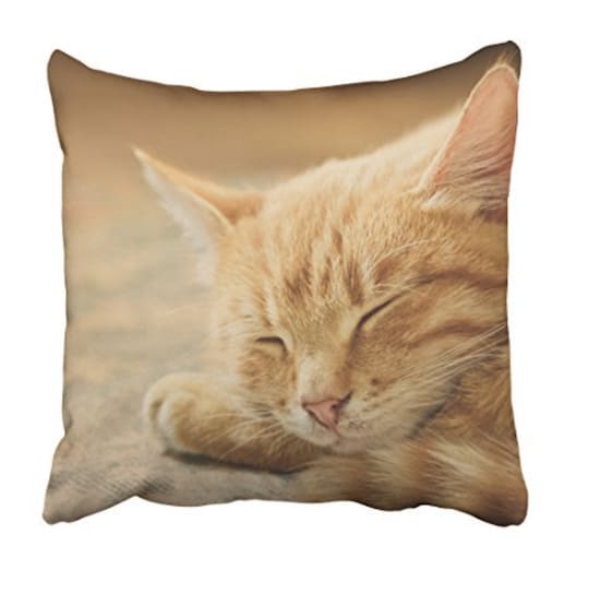 orange cat gift pillow