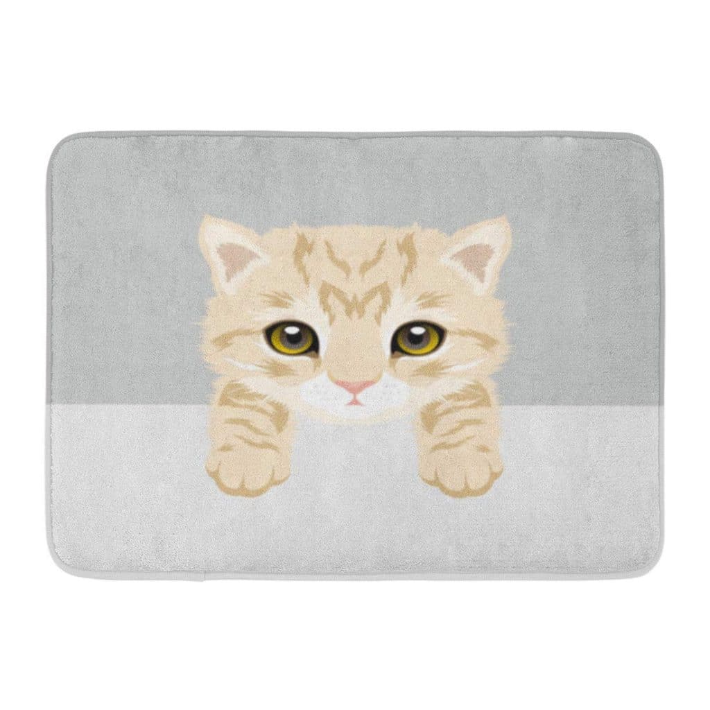 orange cat gift rug