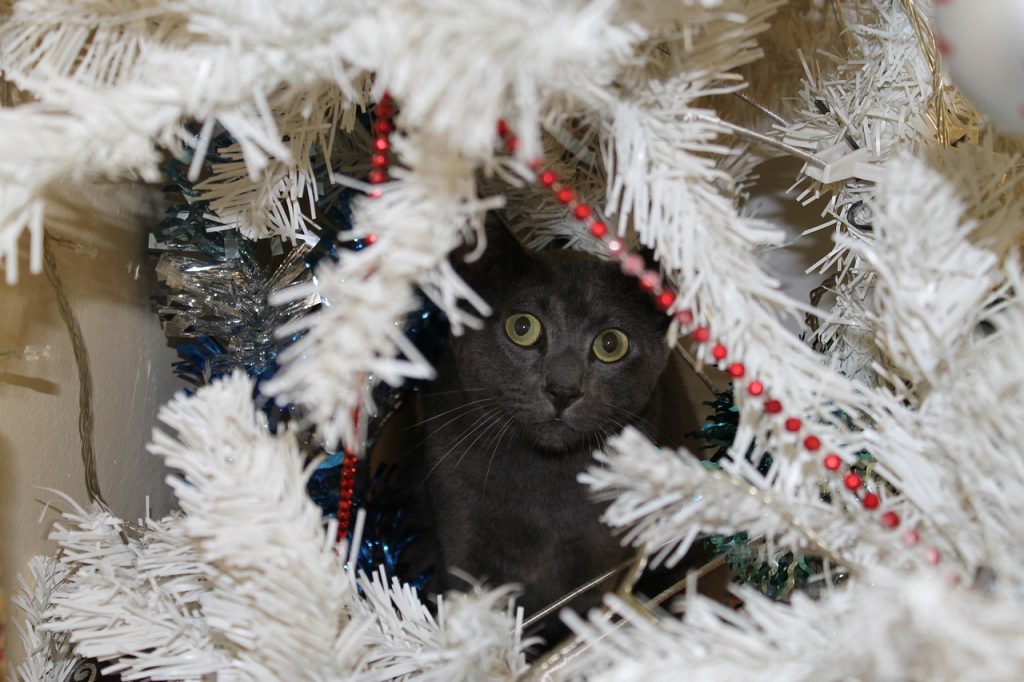 Cat Proof Your Christmas Tree 11 Tips from the Experts