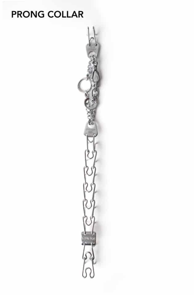 A prong collar