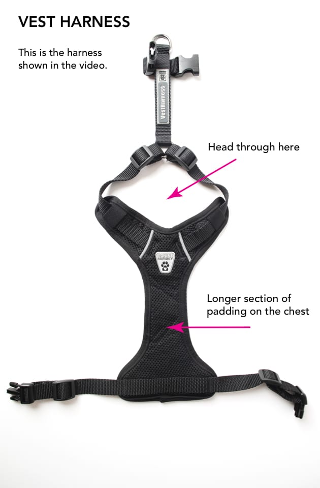 A vest harness with notes. This harness is in the video.