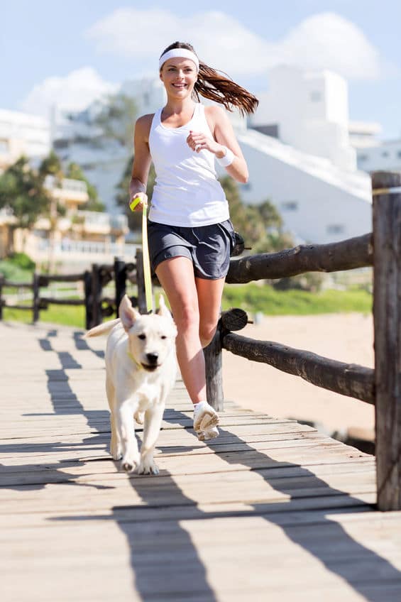 Running With Your Dog in Summer A Seasonal Guide