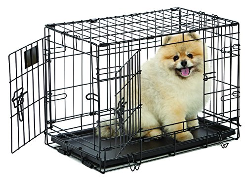 travel crate for small dog