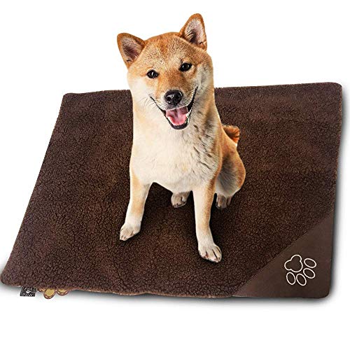 Heated Dog Blankets Heated Dog Blankets and Pads for Extra Warmth