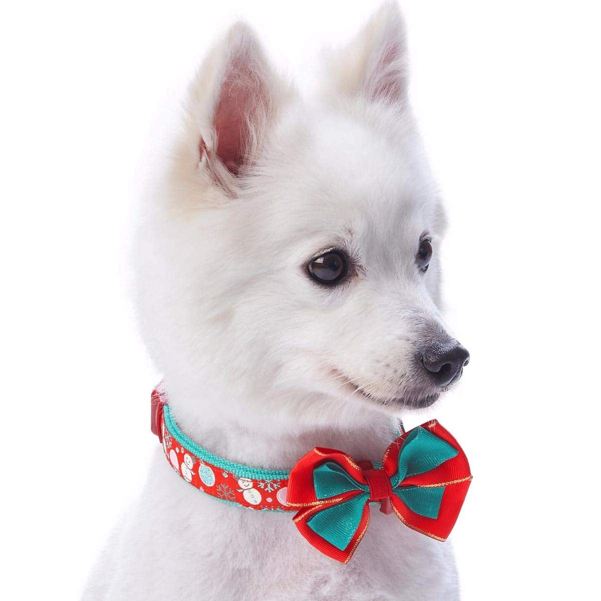 Bow collar Dog Christmas Outfit