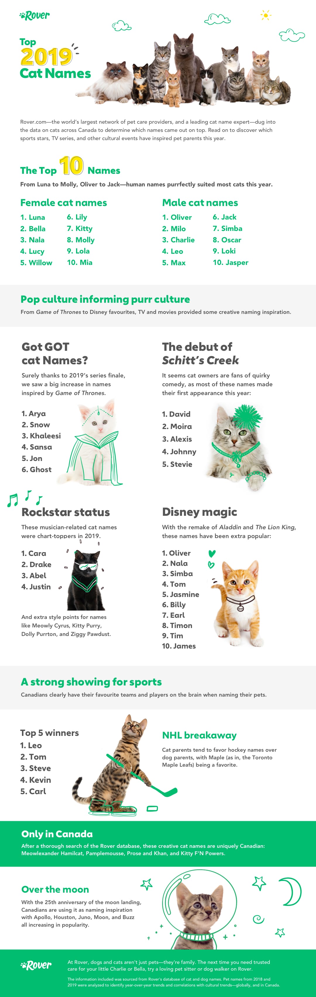 Canada S Top Cat Names Of 2019 The Dog People By Rover Com