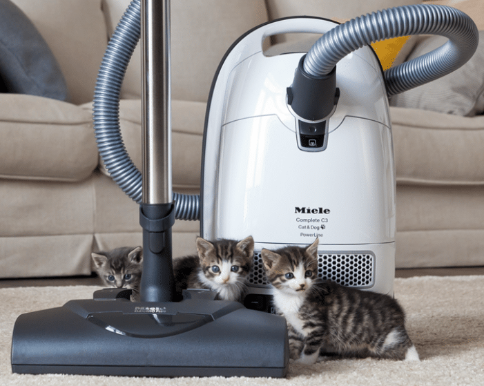 Miele Complete C3 Vacuum for Pet Hair