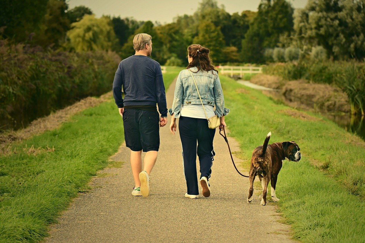 A man and woman walking along an outdoor trail, their dog on a leash beside them.