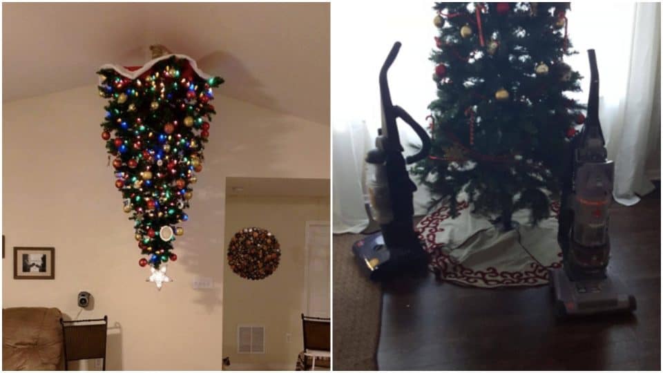 dog owners are clever with christmas tree proofing