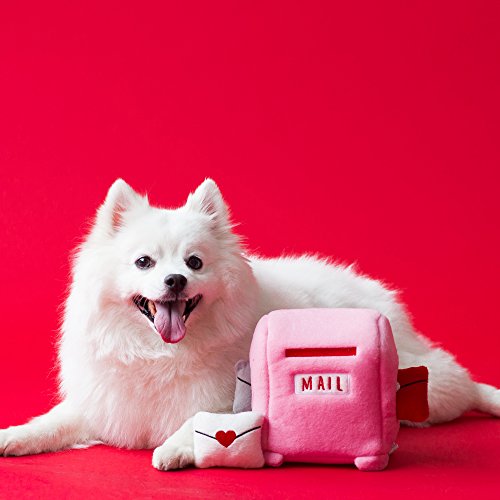 white dog with plush pink mailbox toy