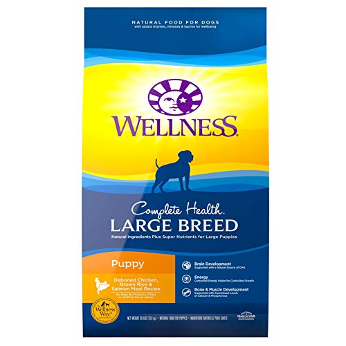 Large Breed Puppy Food The Best Food for Large Breed Puppies in 2020