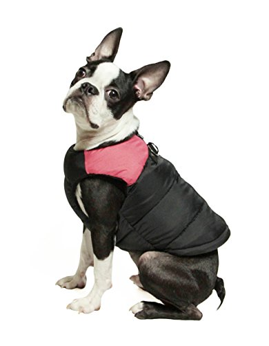 french bulldog wearing pink and black Gooby padded dog vest