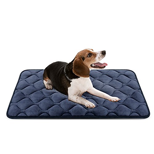 Best Crate Pads The Top Comfy Beds and Pads for Dog Crates in 2020