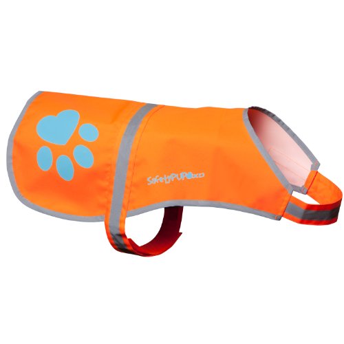 SafetyPup reflective vest for walk your dog month