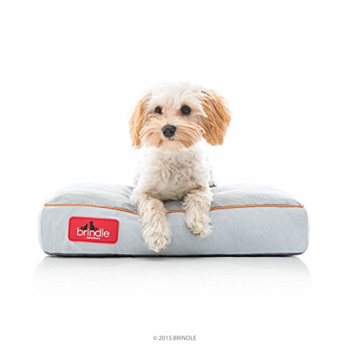 Best Crate Pads The Top Comfy Beds and Pads for Dog Crates in 2020