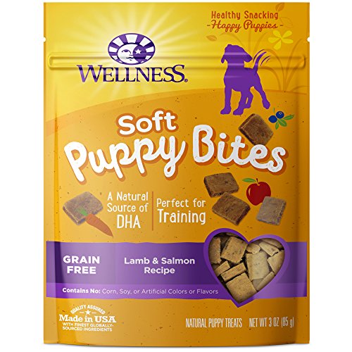 healthiest training treats for dogs