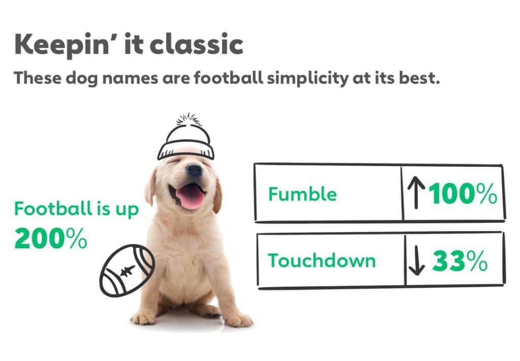 Keepin’ it classic These dog names are football simplicity at its best. Football is up 200% Fumble is up 100% Touchdown is down 33% 