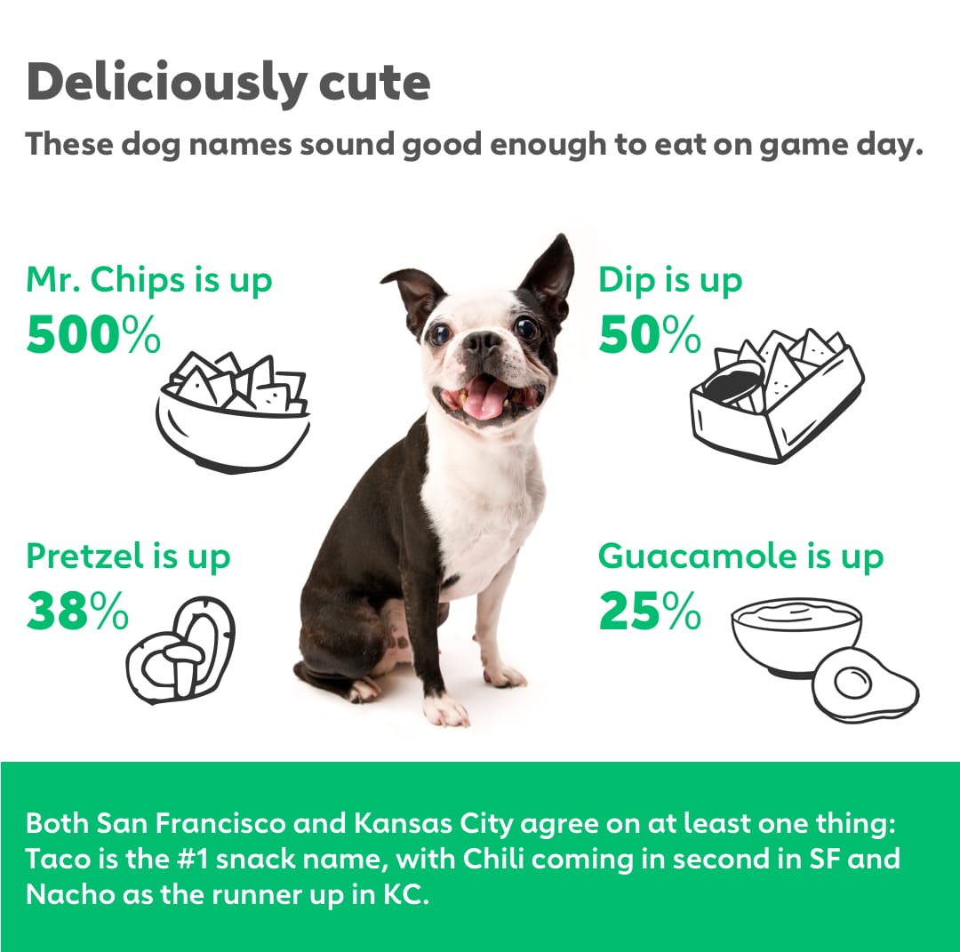 Top Football Dog Names The Dog People by