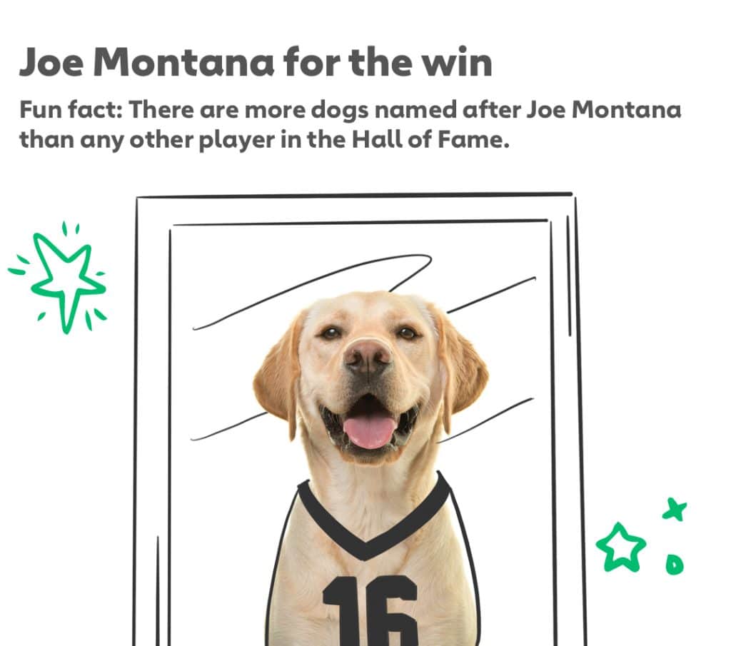 Joe Montana for the win Fun fact: There are more dogs named after Joe Montana than any other player in the Hall of Fame. 