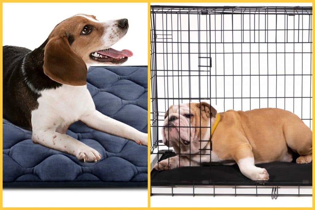 Best Crate Pads The Top Comfy Beds and Pads for Dog Crates in 2020