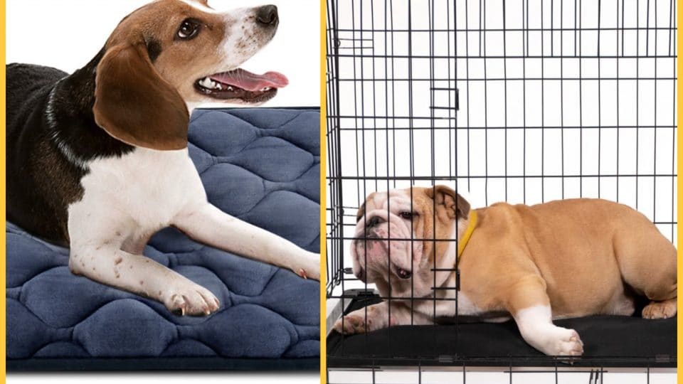 The Best Crate Pads for 2020