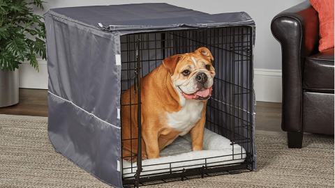 dog in crate with dog crate cover