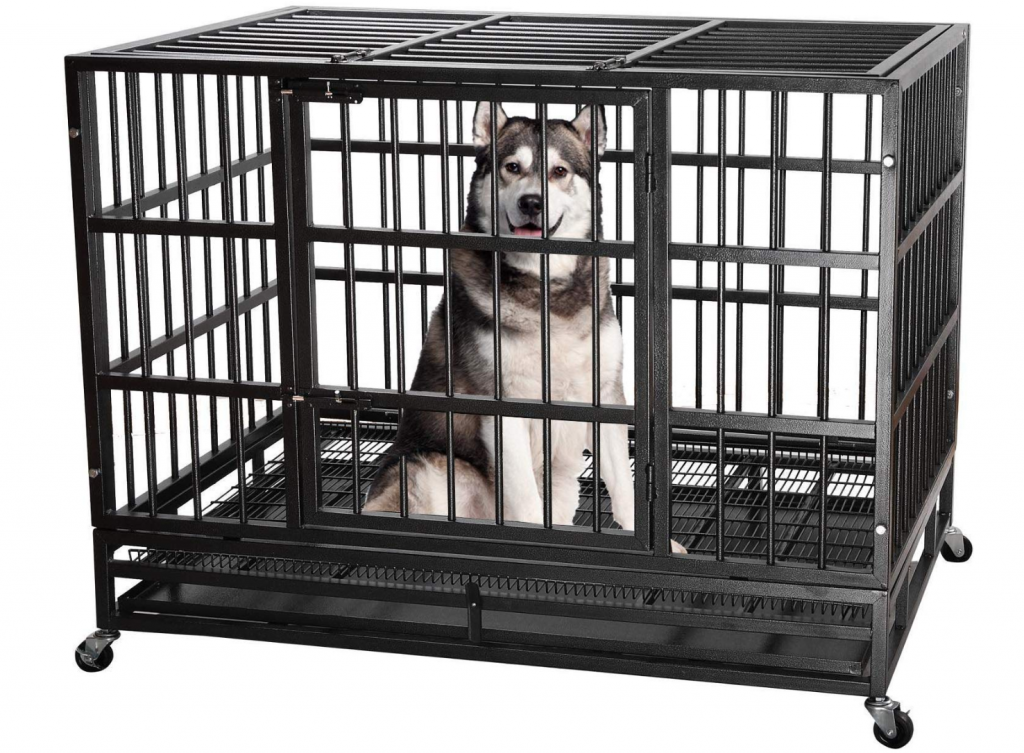 frisco heavy duty dog crate 48