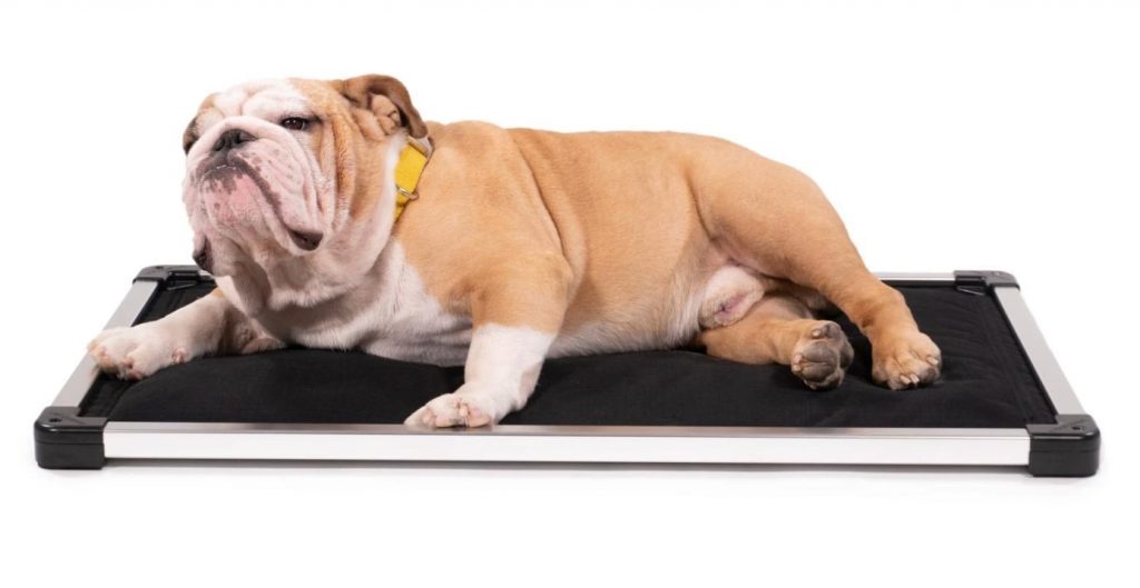 Best Crate Pads The Top Comfy Beds and Pads for Dog Crates in 2020