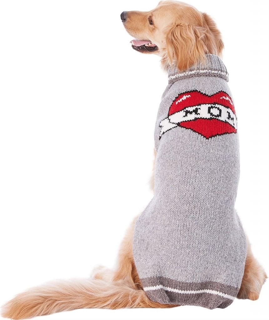 Chilly Dog Sweater Review Chilly Dog Wool Sweater