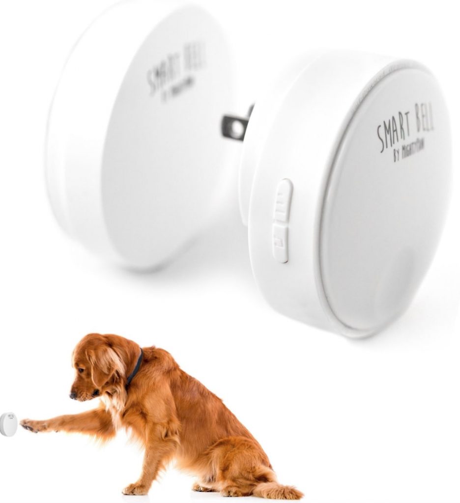 Dog Bell Training How to Train Your Dog to Use a Potty Bell