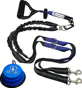 Pet Fit For Life dog leash with bowl