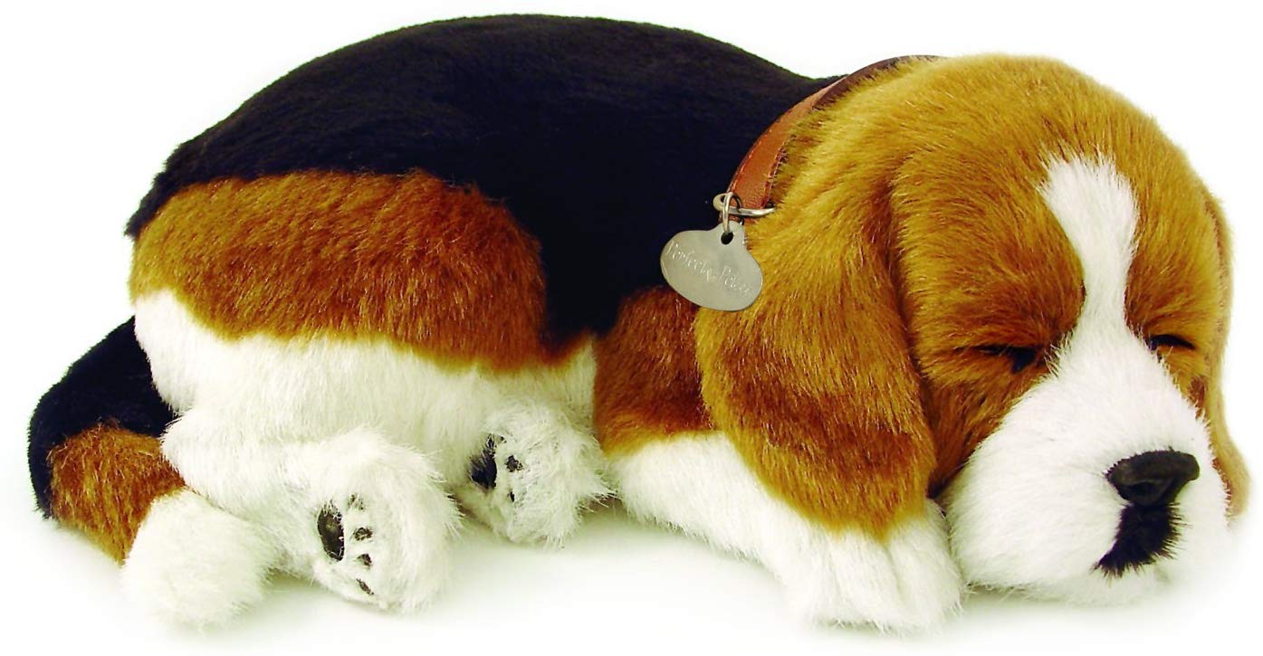 16 Great Beagle Gifts for Beagle Lovers The Dog People by