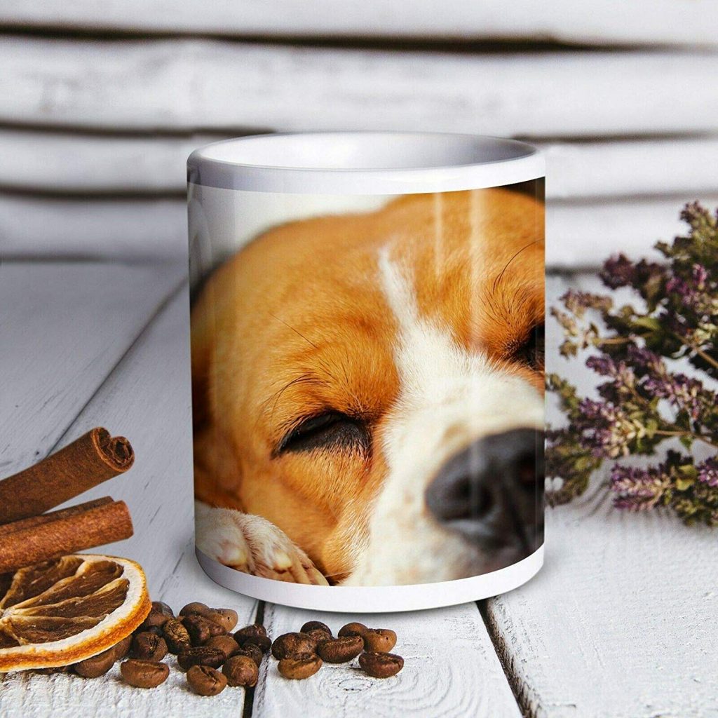 beagle gift ideas