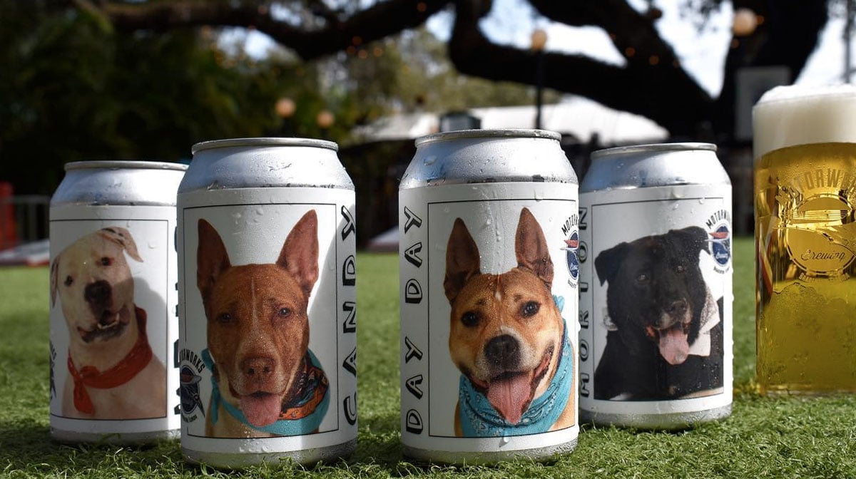 Awesome Florida Brewery Features Adoptable Dogs on Beer Cans The Dog