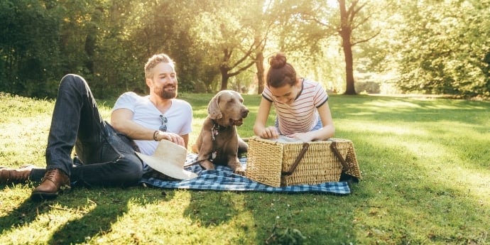 Actividades pet friendly en el Día del amigo