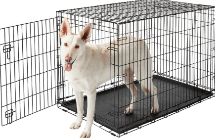 frisco fold & carry single door dog crate