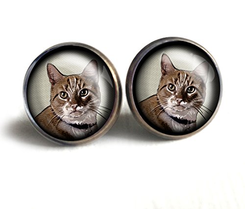 orange tabby stud gift earrings