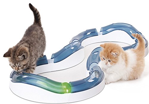 best cat puzzle toys