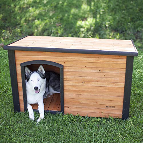 Wooden Dog Crates The Best, Wooden Dog Crates Large