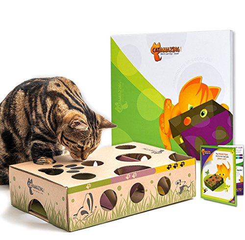 5 Best Cat Puzzle Toys For 2019 These Really Work The Dog