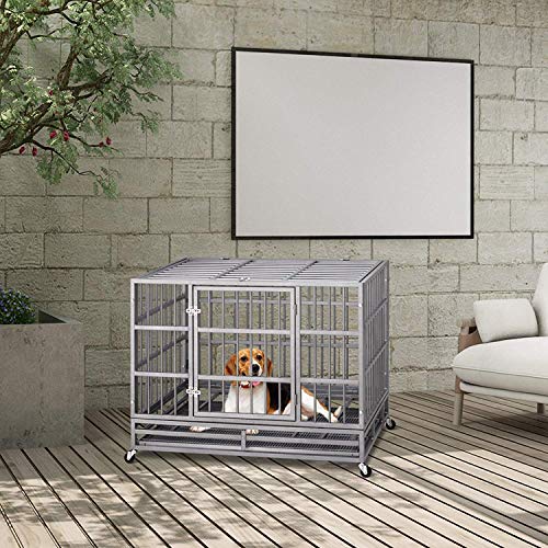 The Best Dog Crates for MediumSized Dogs for 2020